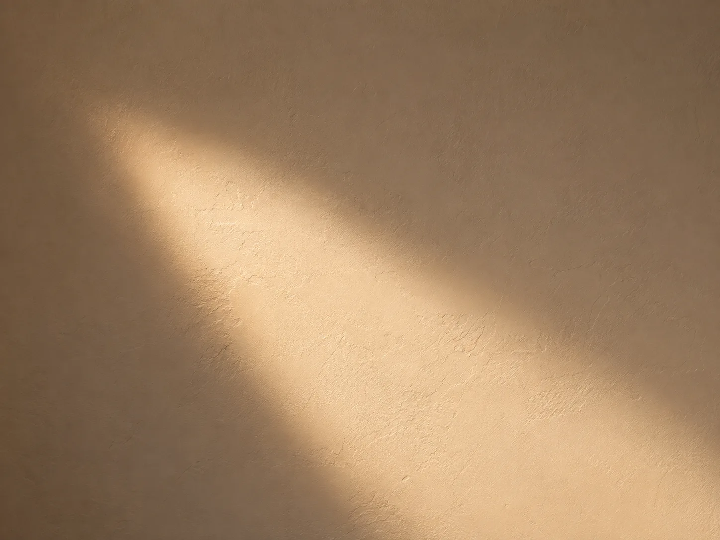 Warm afternoon light falling in a soft patch across a plain plaster wall.