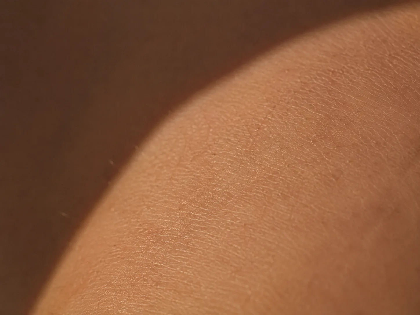 Close daylight across the surface of skin, showing texture rather than a face.
